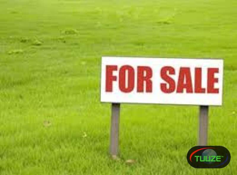 100 acres for sale nyeri