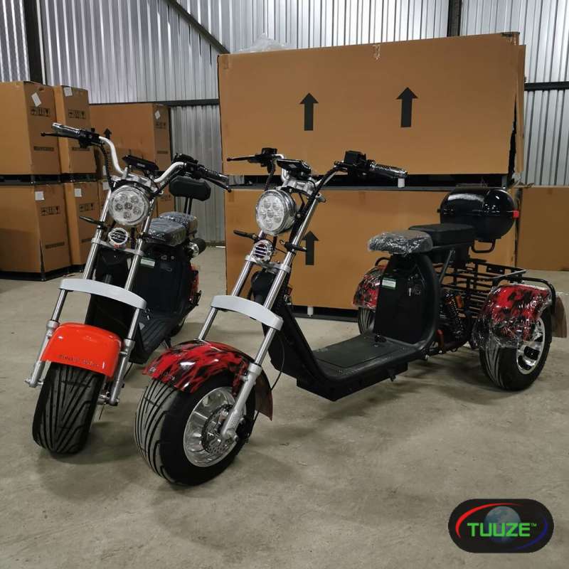 3000 Watts newest fat Tyre Citycoco Scooter